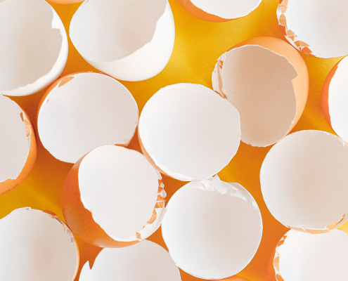 Estrategia integral para mejorar la calidad de la cáscara en gallinas ponedoras: claves para ciclos productivos más largos