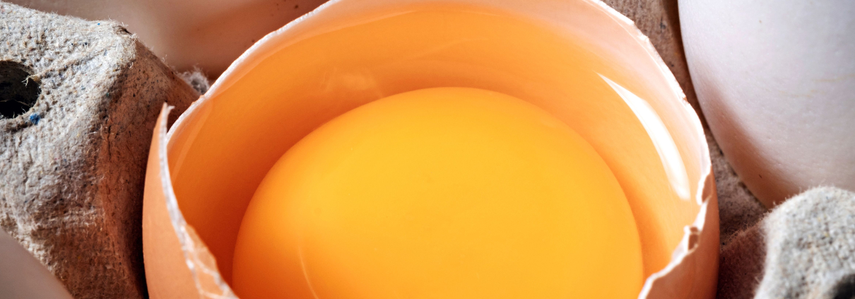 huevo como alimento funcional