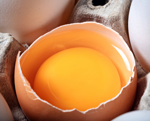 huevo como alimento funcional